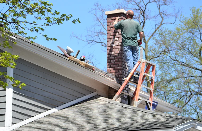 Chimney & Fireplace Inspections Services in Easley, SC